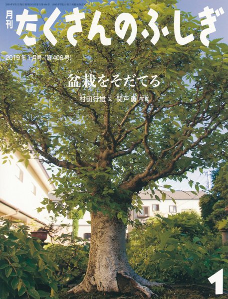 たくさんのふしぎ 2019年1月号 (発売日2018年12月03日) 表紙