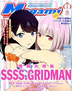 Megami Magazine(メガミマガジン） 2019年1月号 (発売日2018年11月30日