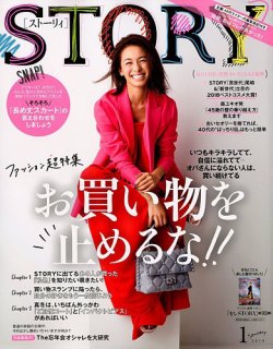 STORY（ストーリィ） 2019年1月号 (発売日2018年12月01日) 表紙