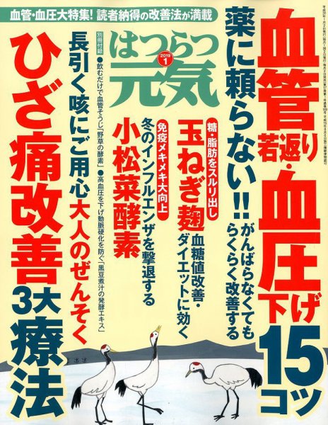 はつらつ元気 2019年1月号 (発売日2018年12月01日) 表紙
