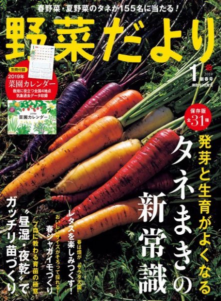 野菜だより 2019年1月号 (発売日2018年12月03日) 表紙
