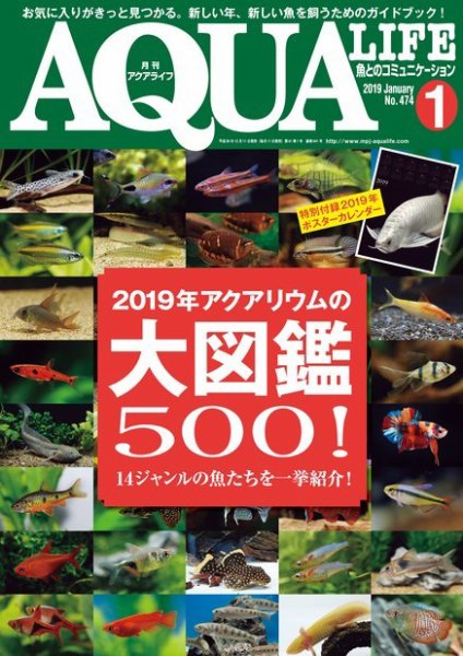 アクアライフ 1月号 (発売日2018年12月11日) 表紙
