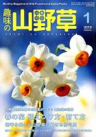 趣味の山野草 2019年1月号 (発売日2018年12月12日) 表紙