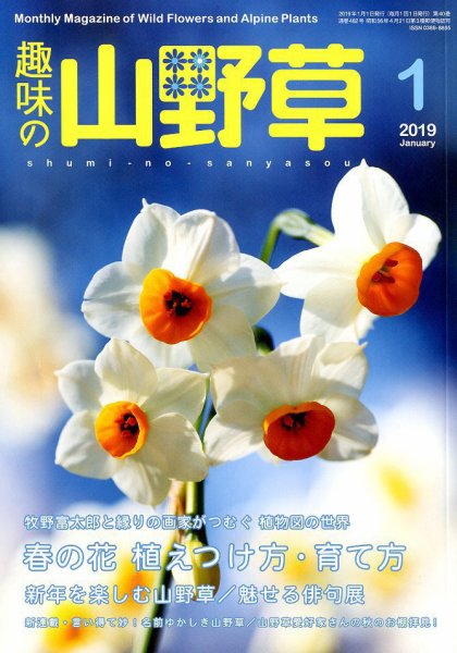 趣味の山野草 2019年1月号 (発売日2018年12月12日) 表紙