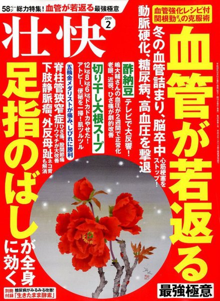 壮快 2019年2月号 (発売日2018年12月15日) 表紙