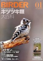 BIRDER（バーダー） 2019年1月号 表紙