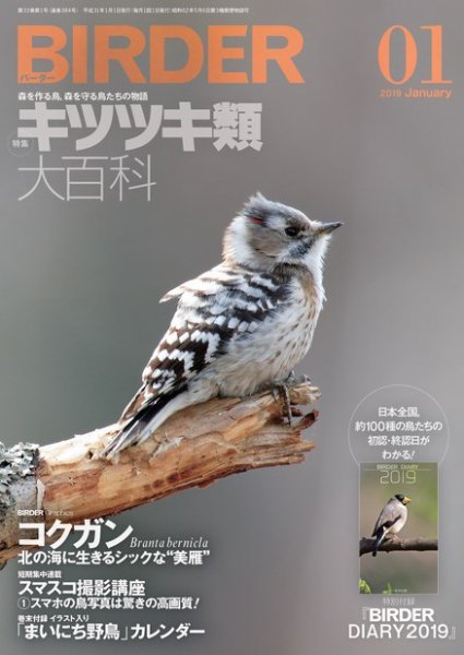 BIRDER（バーダー） 2019年1月号 (発売日2018年12月15日) 表紙