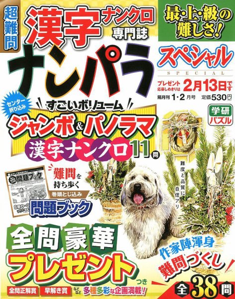 ナンパラSpecial 2019年1月号 (発売日2018年12月14日) 表紙