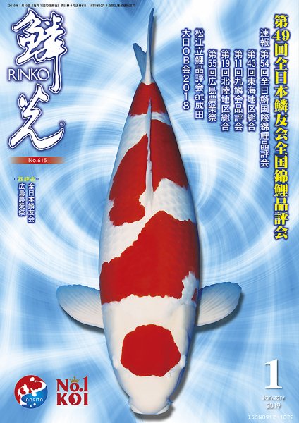 鱗光 2018年12月15日発売号 表紙