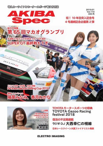AKIBA Spec（アキバスペック） 1月号(110号) (発売日2018年12月15日) 表紙