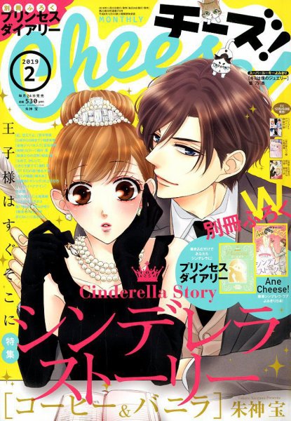 Cheese ! (チーズ) 2019年2月号 (発売日2018年12月22日) 表紙
