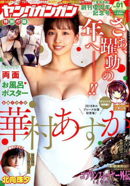 YOUNG GANGAN (ヤング・ガンガン) 2019年1/4号 (発売日2018年12月21日) 表紙