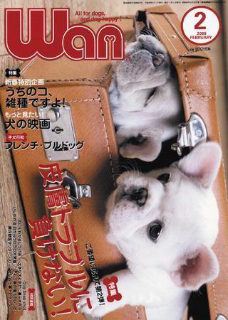 wan（わん） 2008年2月号 (発売日2008年01月12日) 表紙