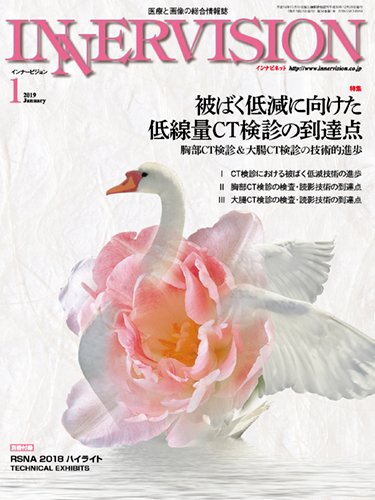INNERVISION（インナービジョン） 2019年1月号 (発売日2019年01月01日) 表紙