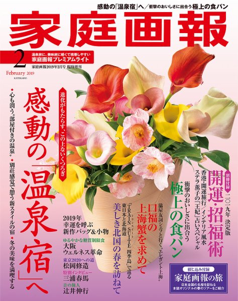 家庭画報 プレミアムライト 2019年2月号 (発売日2018年12月28日) 表紙