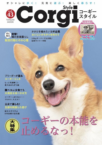 コーギースタイル Vol.43 (発売日2019年10月28日) 表紙