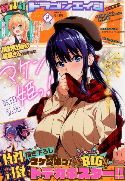 月刊ドラゴンエイジ 2019年2月号 (発売日2019年01月09日) 表紙