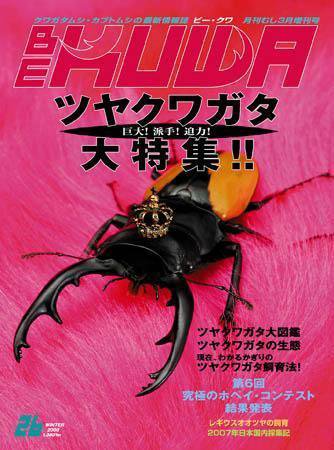 BE-KUWA（ビークワ） 26 (発売日2008年01月18日) 表紙