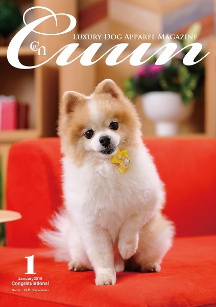 Cuun（クーン） 2019年1月号 (発売日2019年01月10日) 表紙