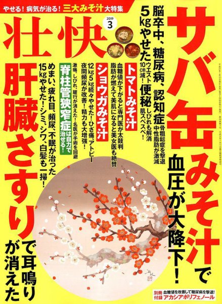 壮快 2019年3月号 (発売日2019年01月16日) 表紙