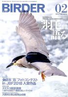 BIRDER（バーダー） 2019年2月号 表紙