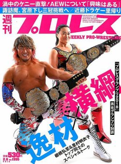 週刊プロレス 19年2 6号 19年01月23日発売 雑誌 電子書籍 定期購読の予約はfujisan