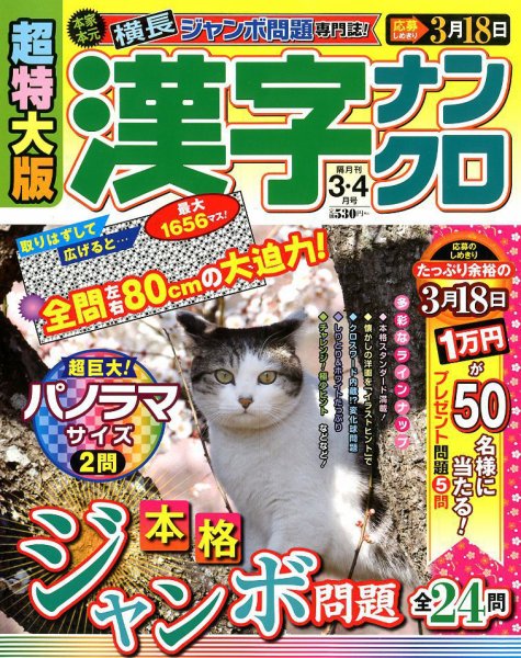 超特大版漢字ナンクロ 2019年3月号 (発売日2019年01月19日) 表紙