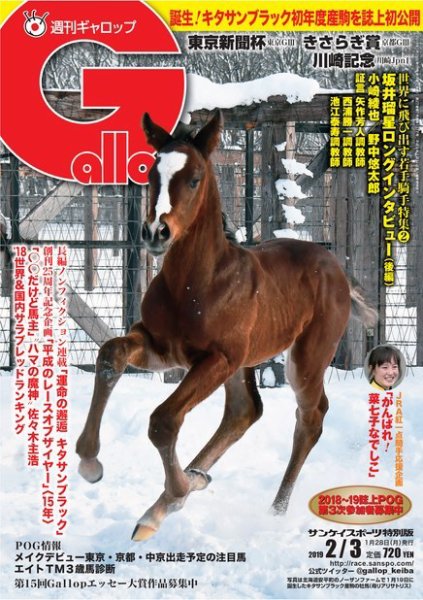 週刊Gallop（ギャロップ） 2月3日号 (発売日2019年01月29日) 表紙