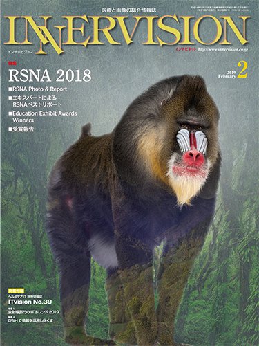INNERVISION（インナービジョン） 2019年2月号 (発売日2019年02月01日) 表紙