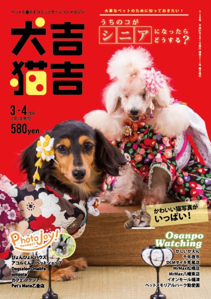 犬吉猫吉九州版　 211 (発売日2019年02月01日) 表紙