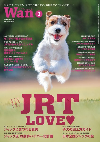wan（わん） 2019年3月号 (発売日2019年02月14日) 表紙