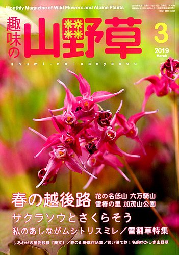 趣味の山野草 19年3月号 発売日19年02月12日 雑誌 定期購読の予約はfujisan