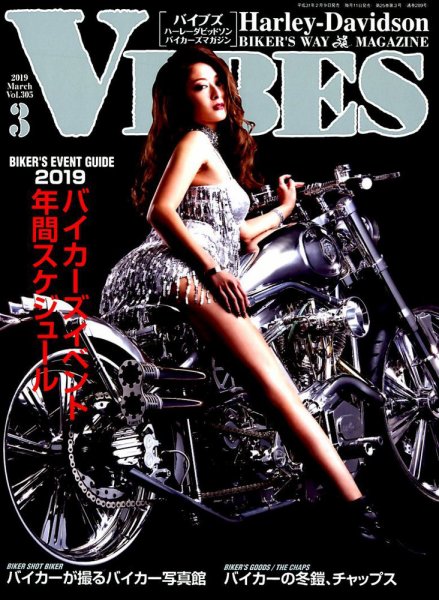 VIBES（バイブズ） 2019年3月号 (発売日2019年02月09日) 表紙