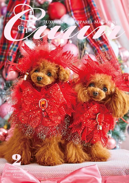 Cuun（クーン） 2019年2月号 (発売日2019年02月10日) 表紙