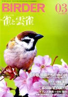 BIRDER（バーダー） 2019年3月号 表紙