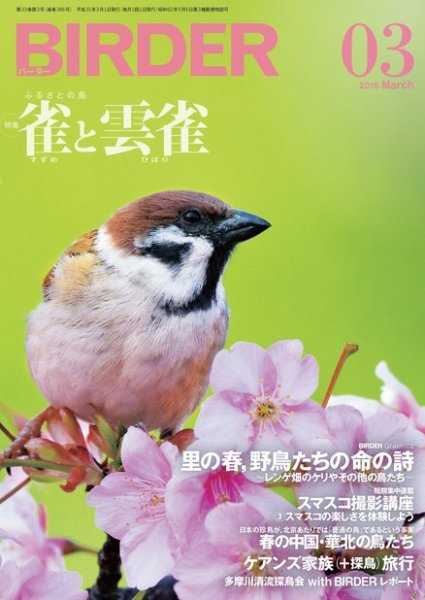 BIRDER（バーダー） 2019年3月号 (発売日2019年02月16日) 表紙
