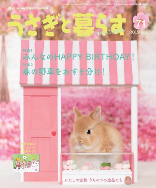 うさぎと暮らす No.71 (発売日2019年02月19日) 表紙