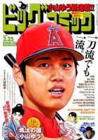 ビッグコミック 2019年2/25号 (発売日2019年02月09日) 表紙