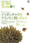 コーラルフィッシュ Vol.2 (発売日2005年06月20日) 表紙