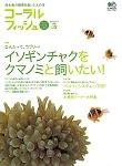コーラルフィッシュ Vol.2 (発売日2005年06月20日) 表紙