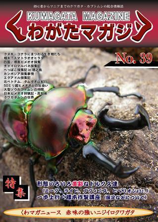 くわがたマガジン 39号 (発売日2008年01月30日) | 雑誌/定期購読