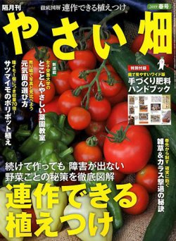 野菜ちゃん様 リンガーハット史上最大「野菜たっぷりちゃんぽんMAX」5日間限定で発売