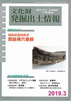 文化財発掘出土情報 454号 表紙
