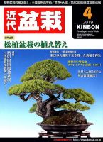 月刊 近代盆栽 2019年4月号 表紙