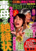 家庭ミステリー 2019年4月号 (発売日2019年03月07日) 表紙
