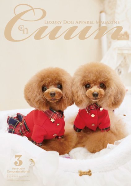 Cuun（クーン） 2019年3月号 (発売日2019年03月10日) 表紙