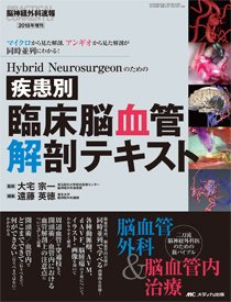 脳神経外科速報 2018年増刊号 (発売日2018年09月20日) 表紙