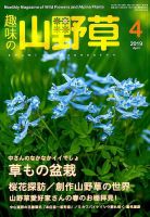 趣味の山野草のバックナンバー (2ページ目 30件表示) | 雑誌/定期購読の予約はFujisan