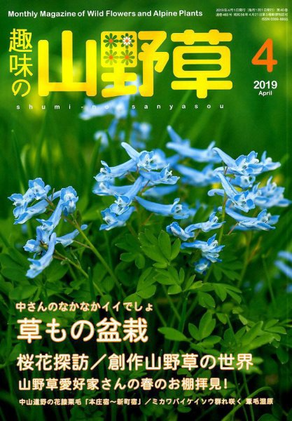 趣味の山野草 2019年4月号 (発売日2019年03月12日) 表紙