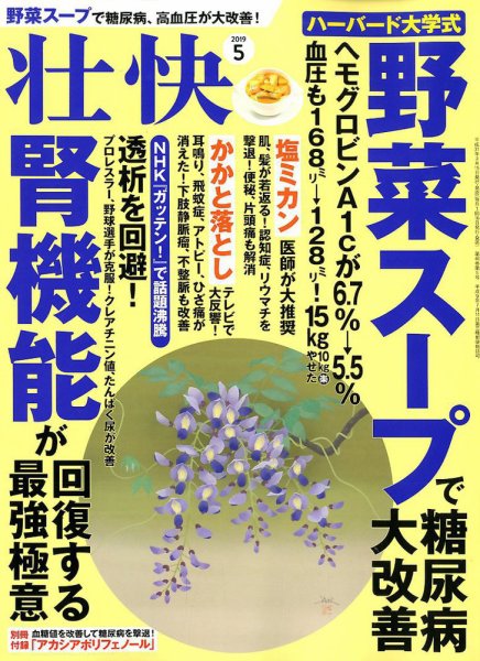 壮快 2019年5月号 (発売日2019年03月15日) 表紙